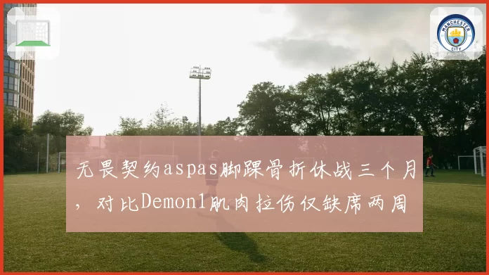无畏契约aspas脚踝骨折休战三个月,对比Demon1肌肉拉伤仅缺席两周引争议